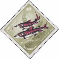 (1965-024) Марка Монголия "Ленок"    Речные хищные рыбы I Θ